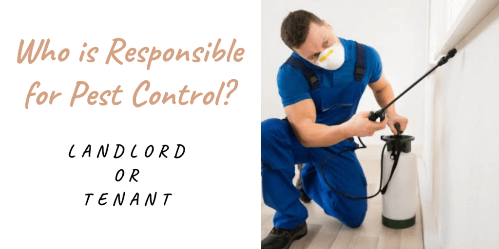 Landlord or Tenant - Who Is Responsible for Pest Control in Langley?