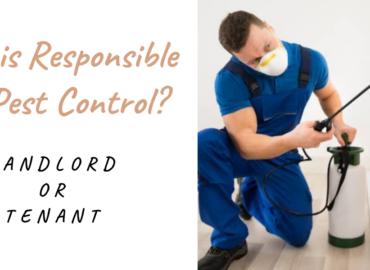 Landlord or Tenant - Who Is Responsible for Pest Control in Langley?