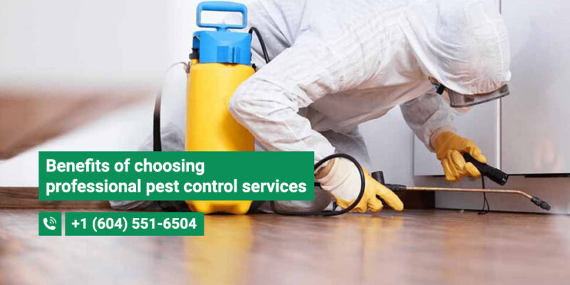 A pest exterminator is someone whose job is getting rid of insects around the surroundings of our homes. Here are 5 reasons to hire a Pest Exterminator
