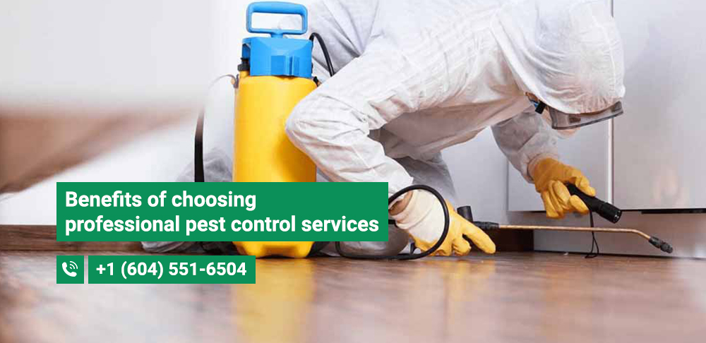 Chicago pest control services