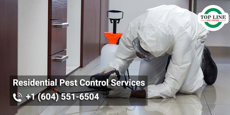 pest control in Burnaby