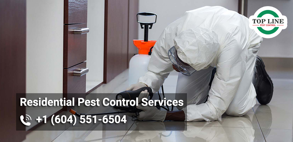 pest control in Burnaby