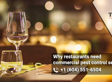 commercial Pest control services