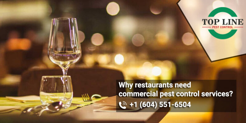 commercial Pest control services