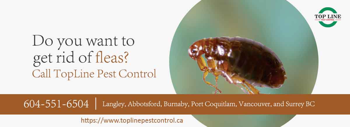 Topline Pest Control