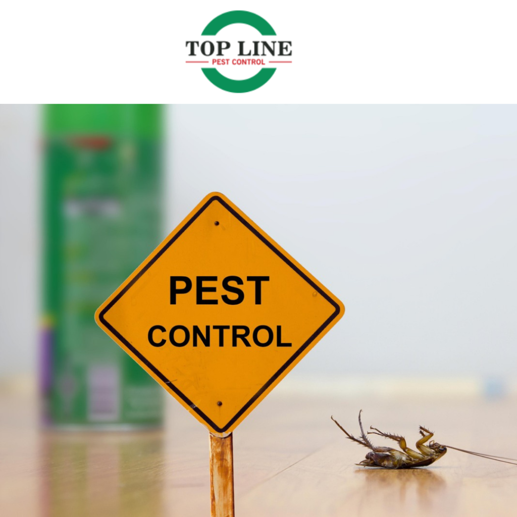 Professional Pest Control | Advantages Of Having Pest Control