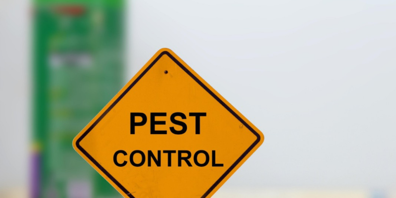 Advantages of having Pest Control