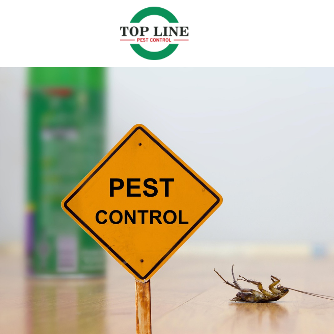 Advantages of having Pest Control