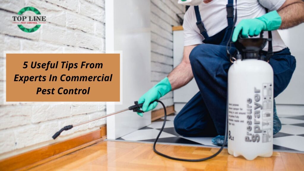 5 Useful Tips From Experts In Commercial Pest Control