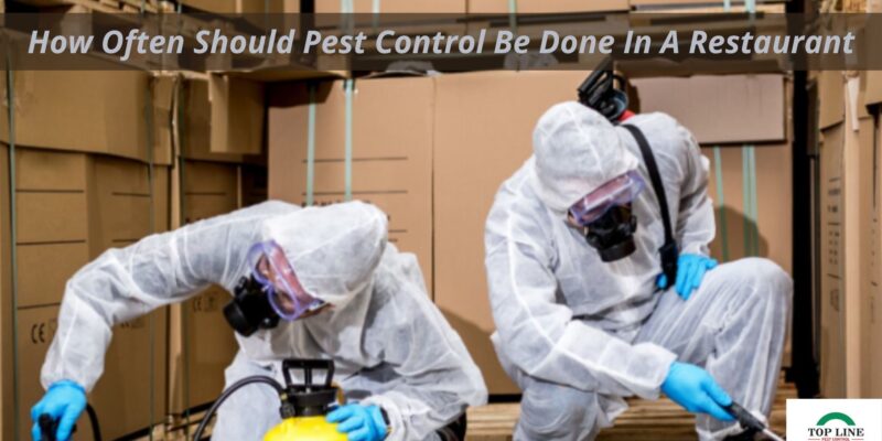 How Often Should Pest Control Be Done In A Restaurant