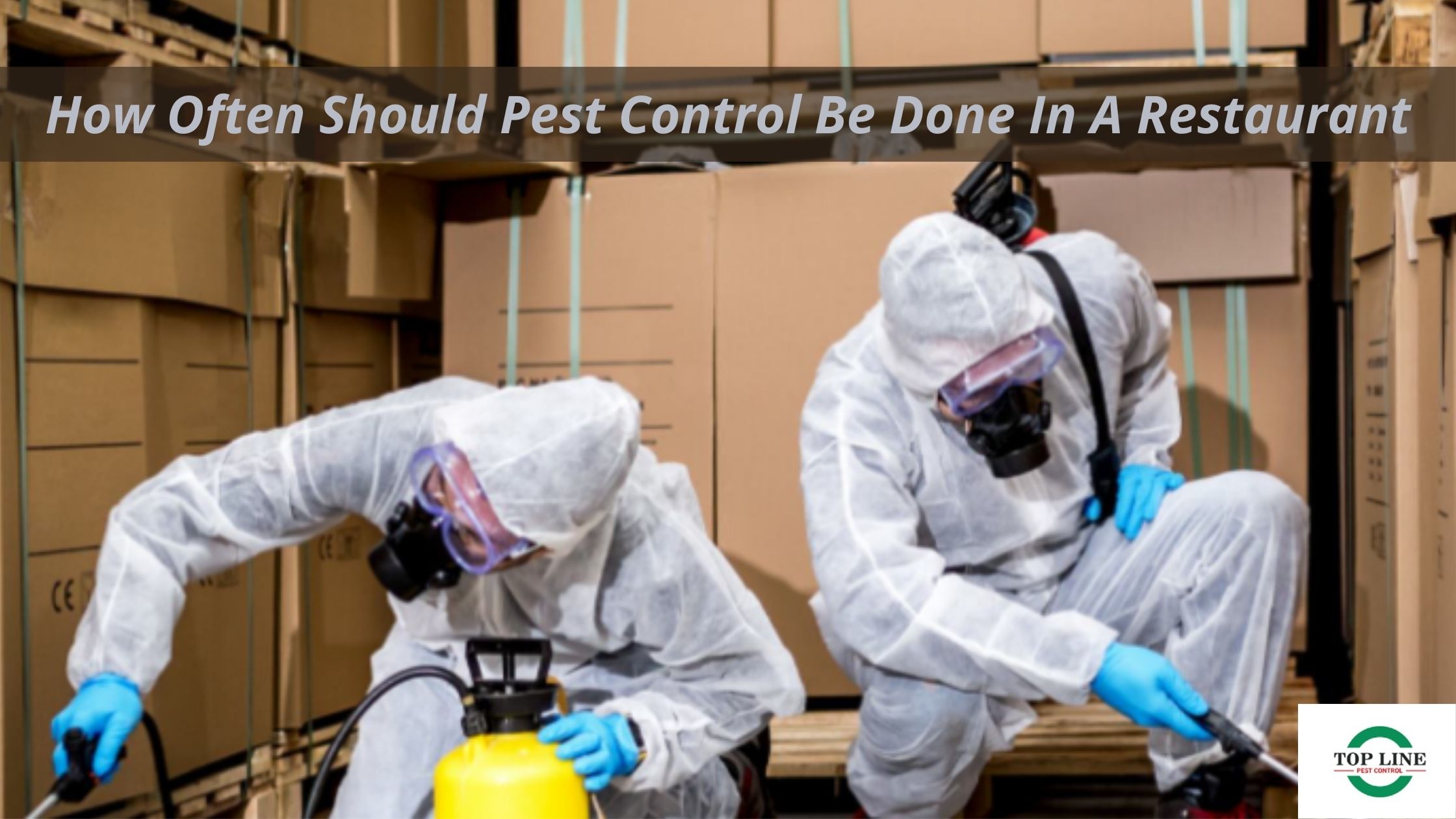 How Often Should Pest Control Be Done In A Restaurant