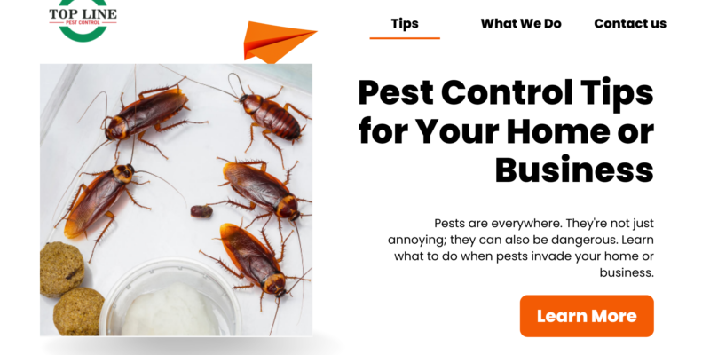 Pest Control Tips
