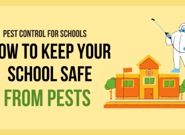 Pest Control for Schools