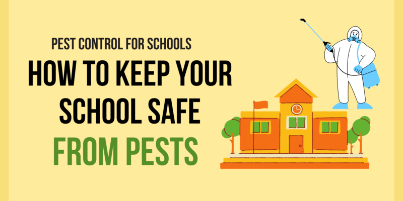 Pest Control for Schools