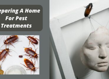 Preparing A Home For Pest Treatments