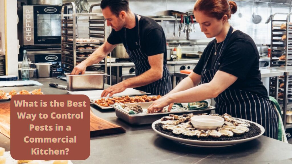 What is the Best Way to Control Pests in a Commercial Kitchen?