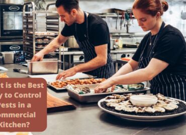 What is the Best Way to Control Pests in a Commercial Kitchen?