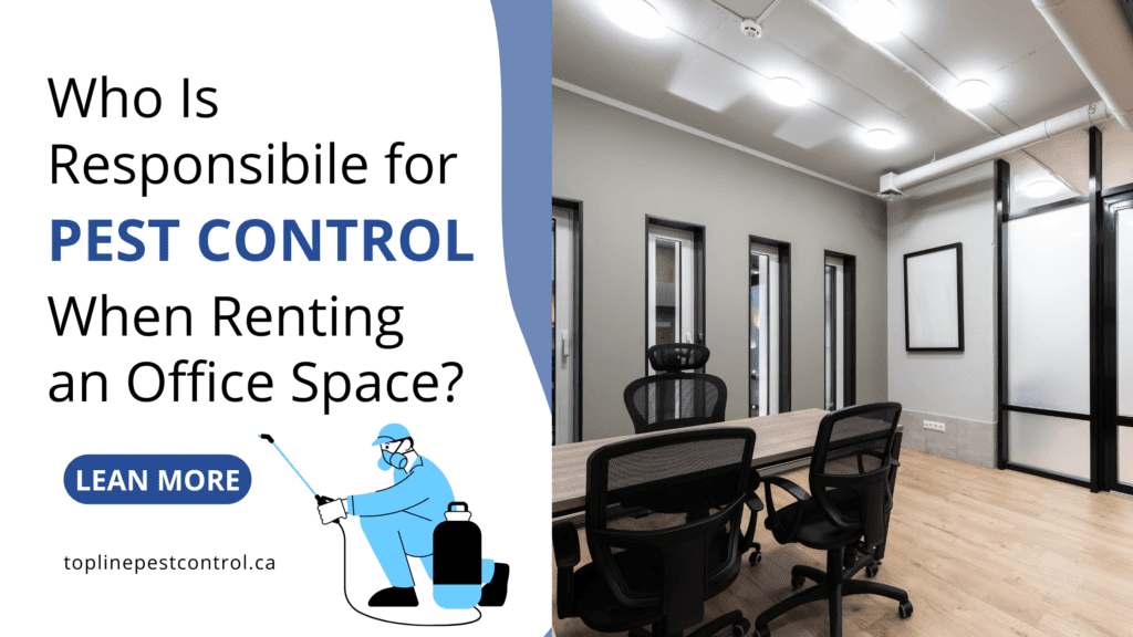 Who Is responsible for Pest Control When Renting Office Space?