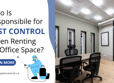 Pest Control for Office Spaces