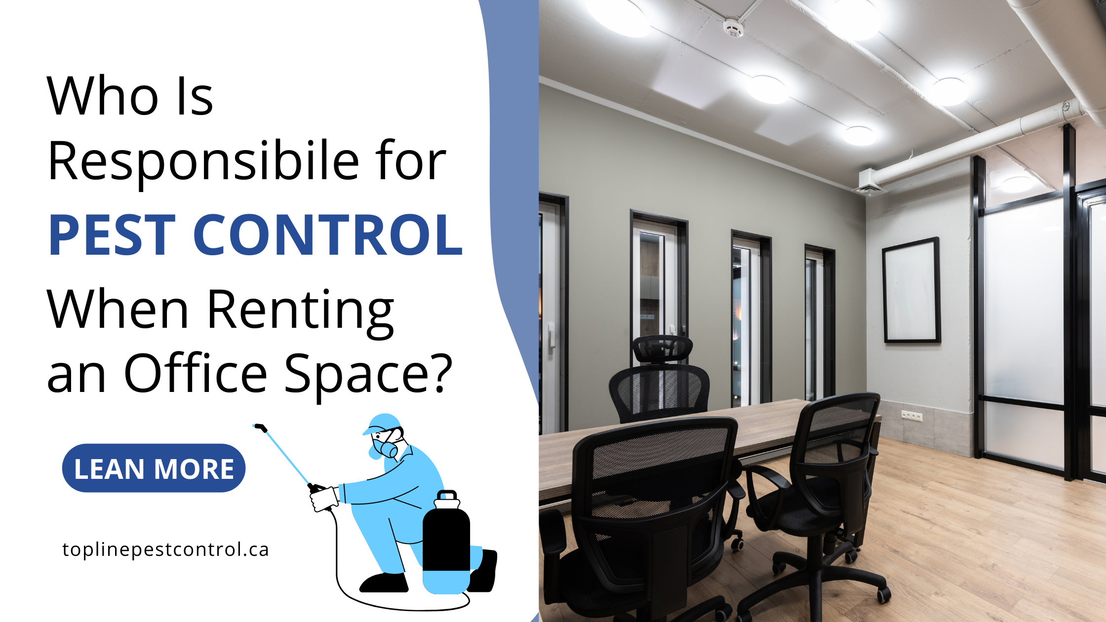 Pest Control for Office Spaces