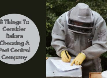 8 Things To Consider Before Choosing A Pest Control Company