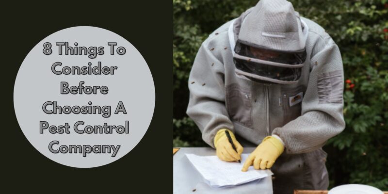 8 Things To Consider Before Choosing A Pest Control Company