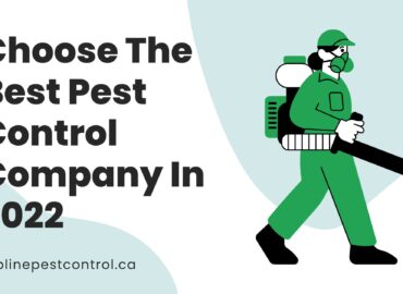 Choose The Best Pest Control Company In 2022