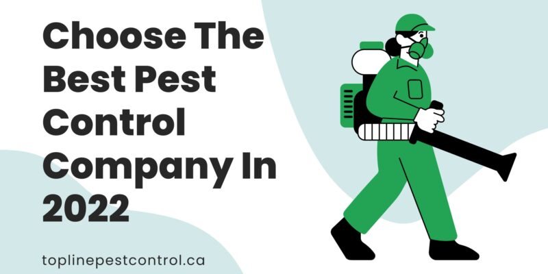 Choose The Best Pest Control Company In 2022