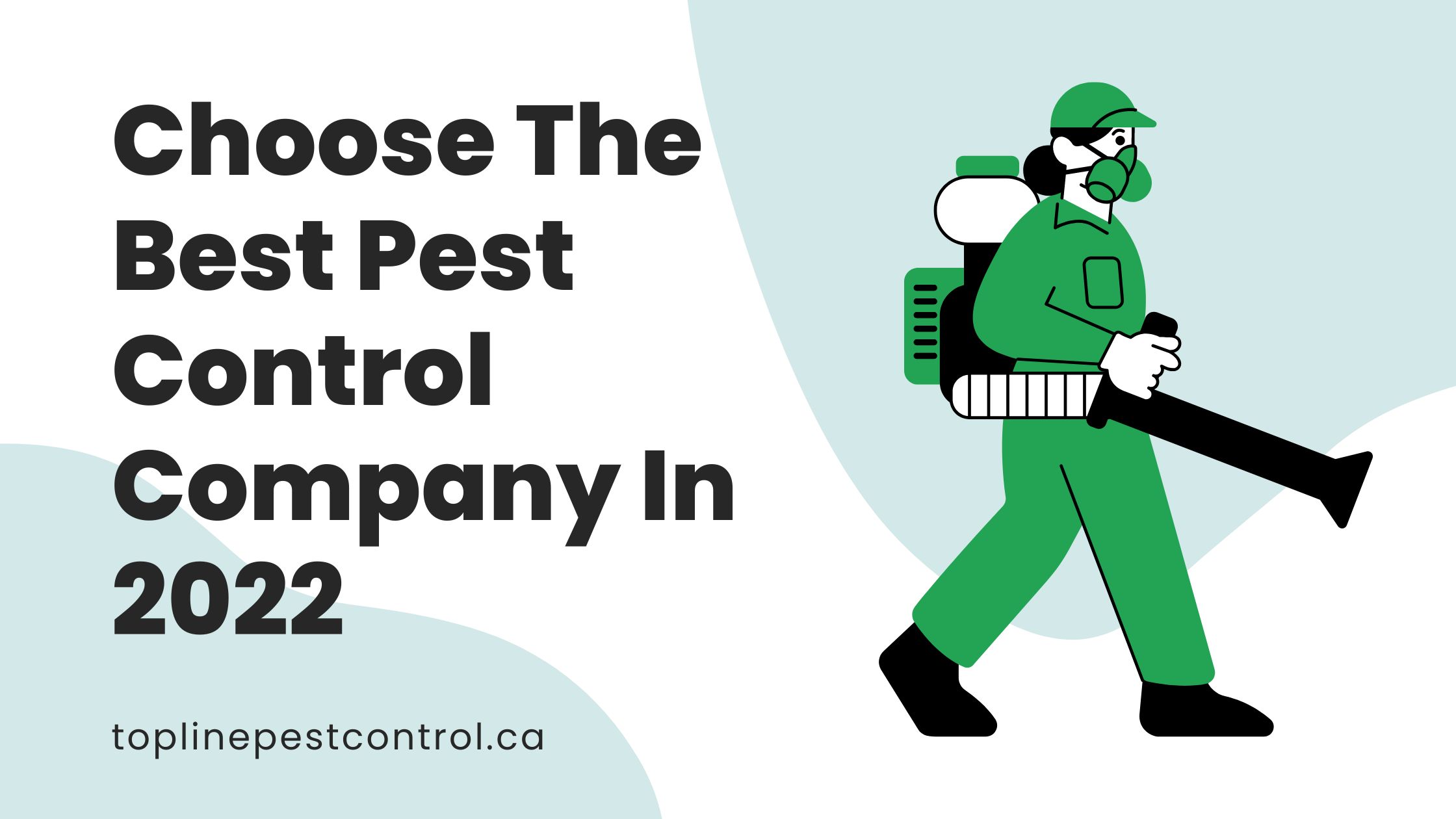 Choose The Best Pest Control Company In 2022