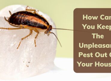 How Can You Keep The Unpleasant Pest Out Of Your House?