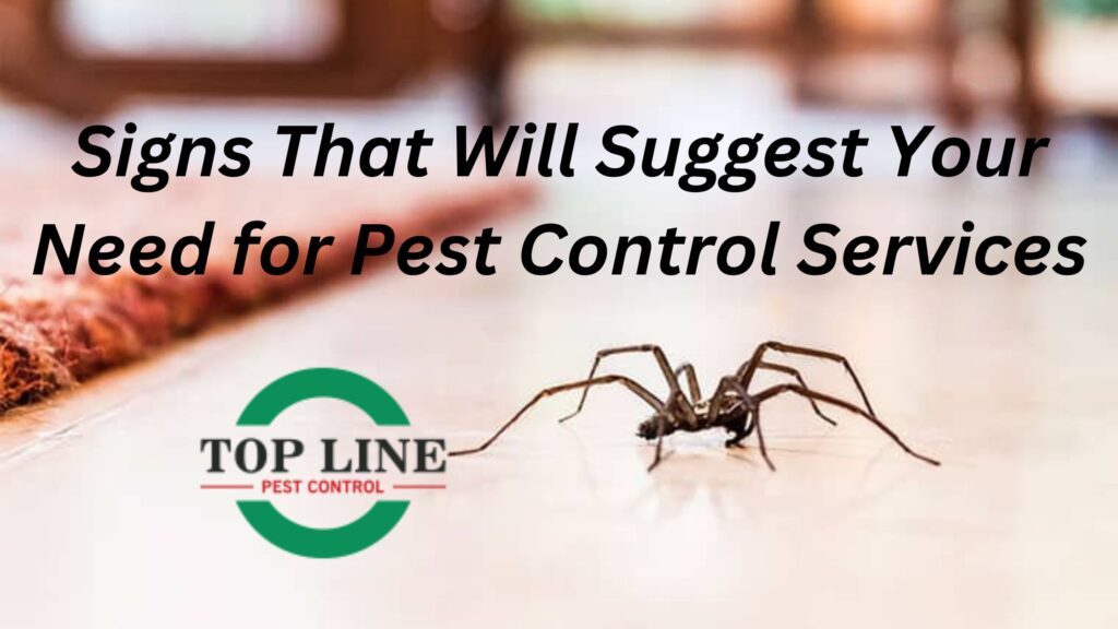 Spider Control services