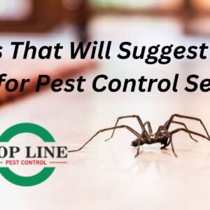 Spider Control services