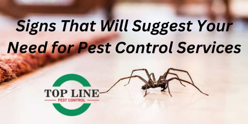 Spider Control services