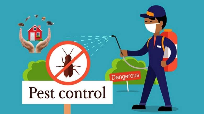 call-for-pest-control-if-you-see-these-warning-signs-top-line-pest