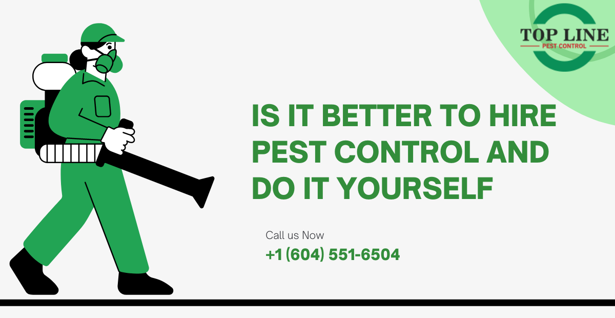 Better to Hire Pest Control and Do It Yourself
