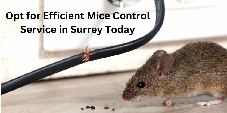 Mice Control