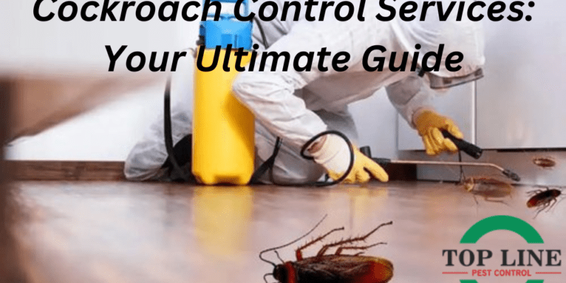 Cockroach Control Services Your Ultimate Guide