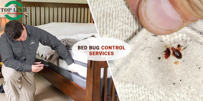 Bed Bug Control Abbotsford