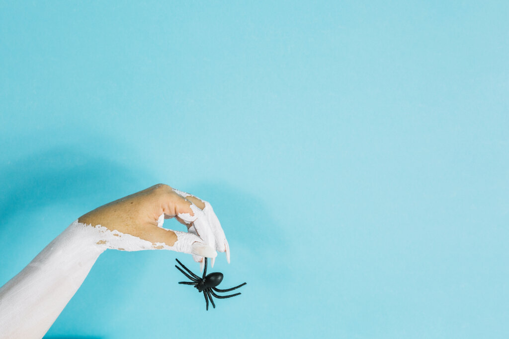 How To Get Rid Of Spiders In Your Home