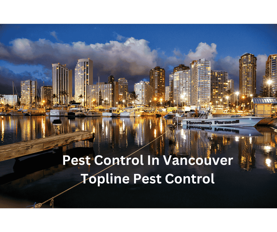 Pest Control In Vancouver - Topline Pest Control