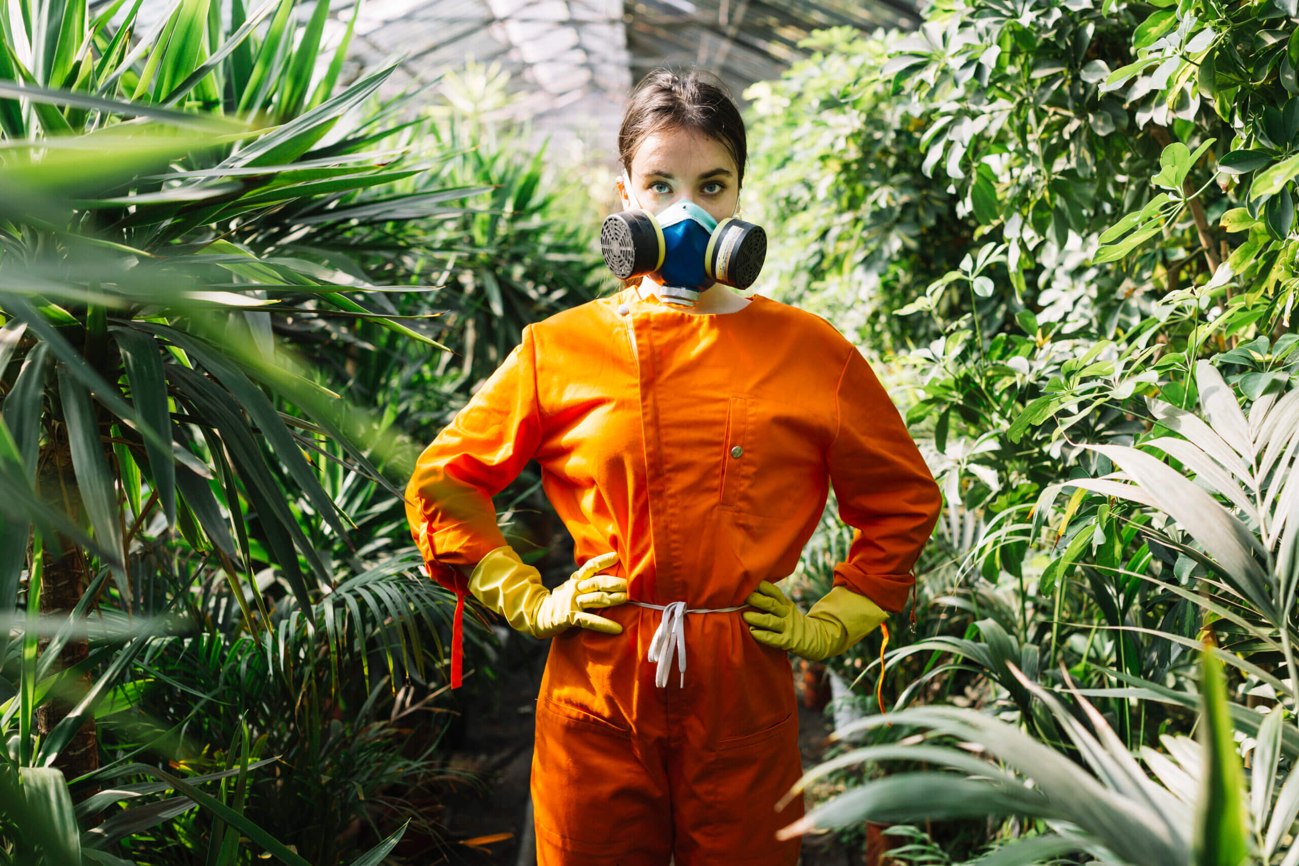 Pest Control Expertise: Why Hiring Professionals is Essential: