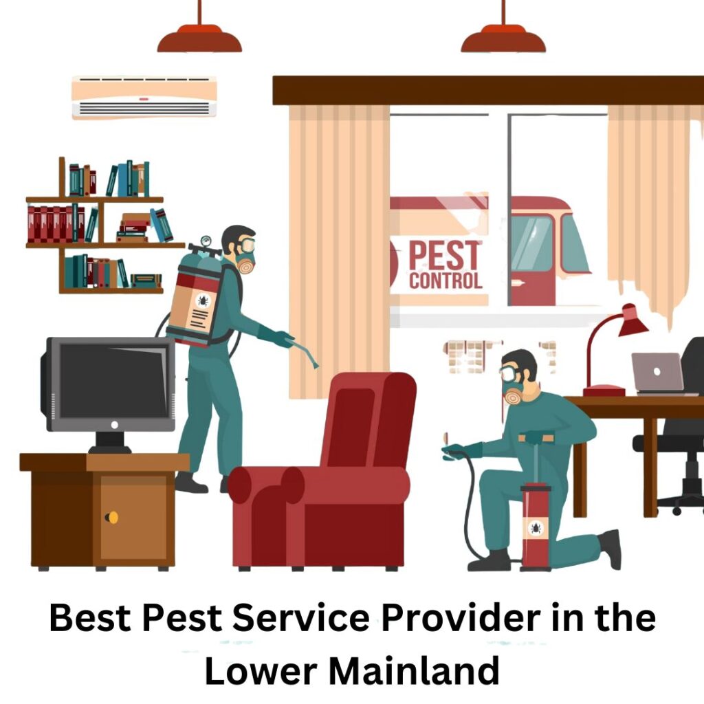 Best Pest Service Provider in the Lower Mainland