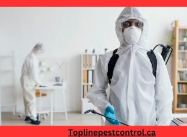 top line pest control home