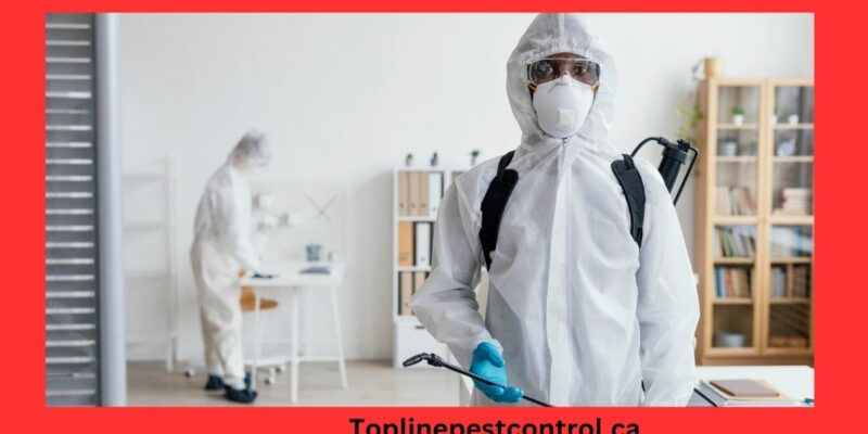 top line pest control home