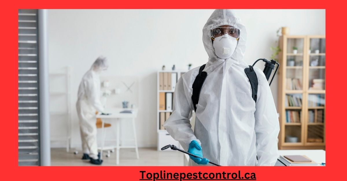 top line pest control home