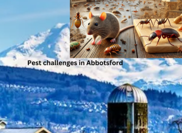 Pest challenges in Abbotsford