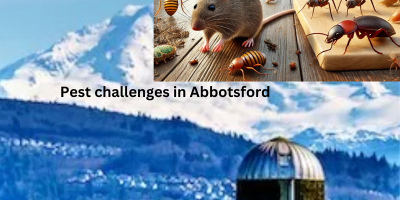 Pest challenges in Abbotsford