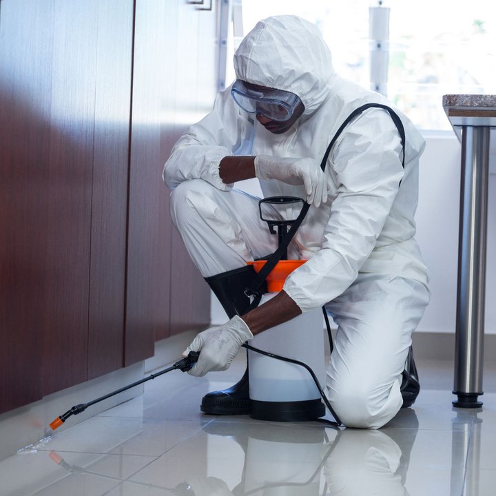 commercial ant control