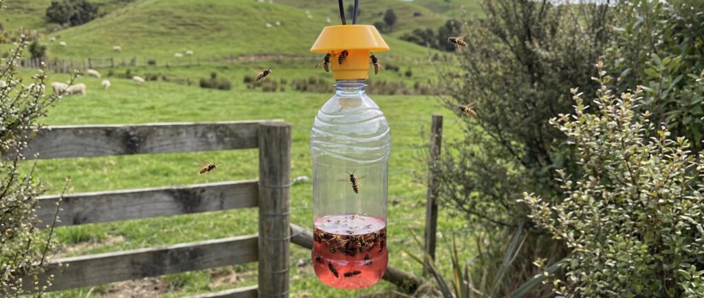 A DIY wasp trap made from a plastic bottle with a yellow cap, hanging outdoors near a wooden fence, containing a red liquid bait with several wasps trapped inside and others flying nearby.