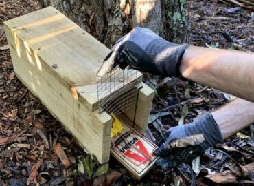 Rodent Control Vancouver BC technician setting a rat trap